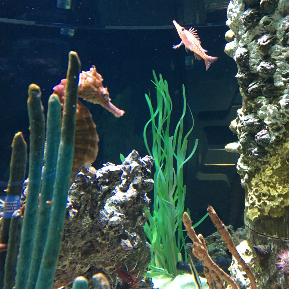 Meet your Posher, Gwen